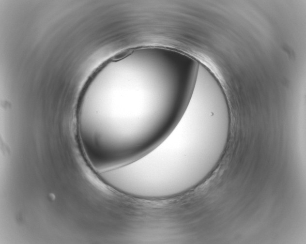 X0000091191136200708091017