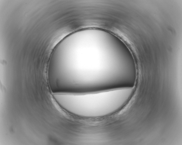 X0000091191137200708091017