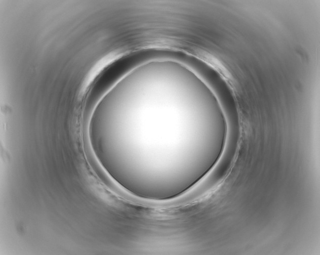 X0000091191138200708091017