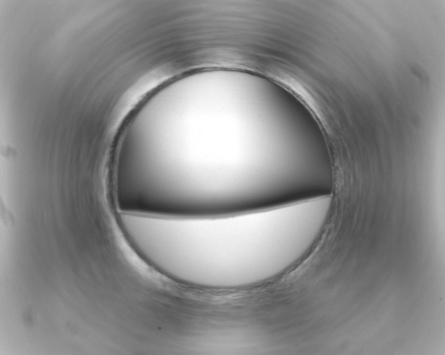 X0000091191139200708091018