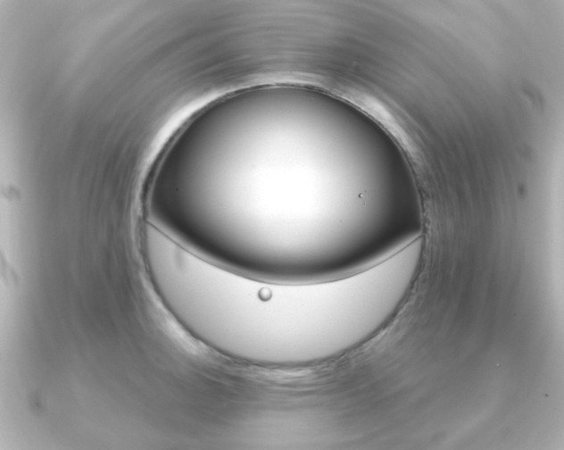 X0000091191140200708091018