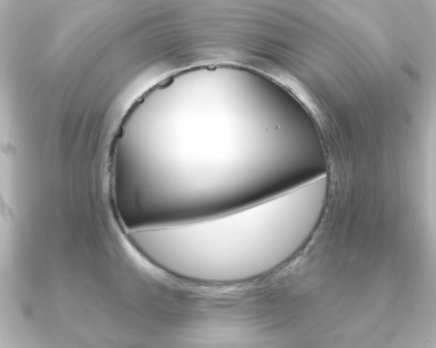 X0000091191143200708091018