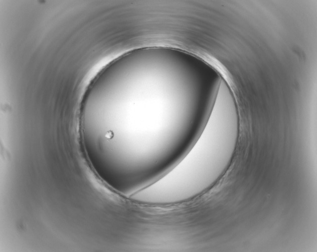 X0000091191144200708091018