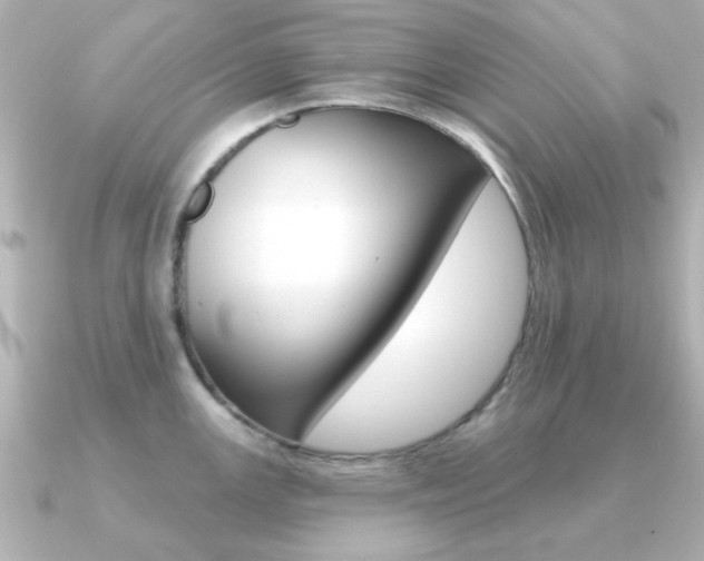 X0000091191147200708091018
