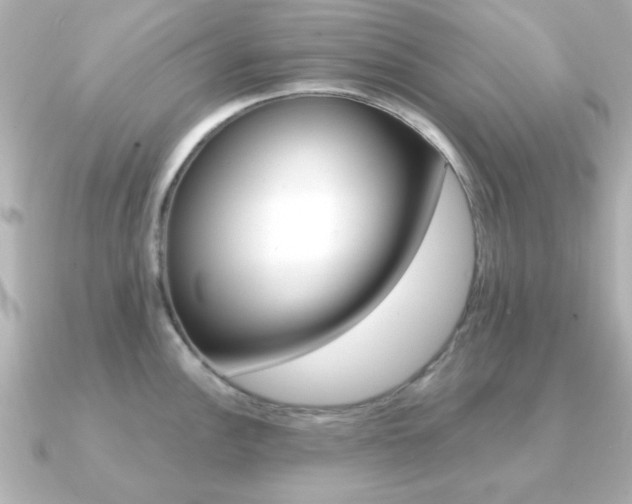 X0000091191148200708091018