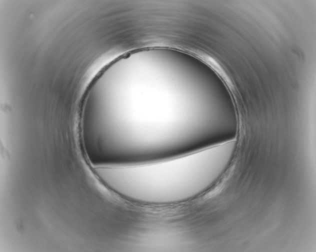 X0000091191149200708091018
