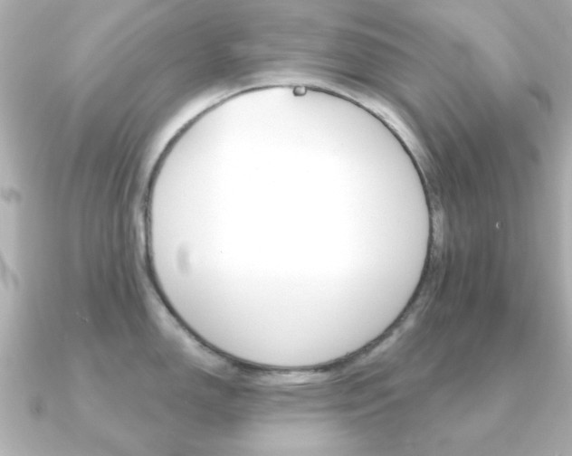 X0000091191150200708091018