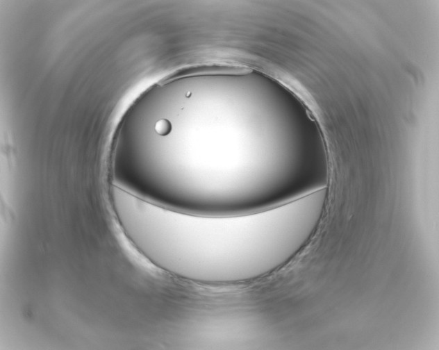 X0000091191152200708091018