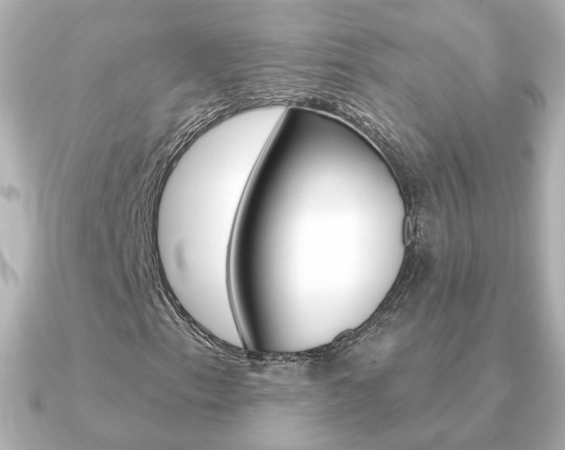 X0000091191153200708091017