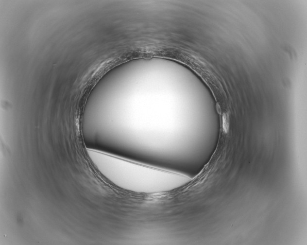 X0000091191155200708091017