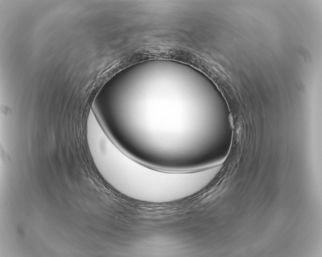 X0000091191156200708091017