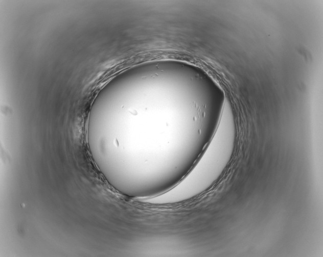 X0000091191157200708091017