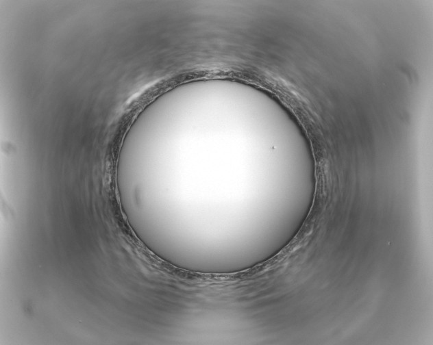 X0000091191158200708091017