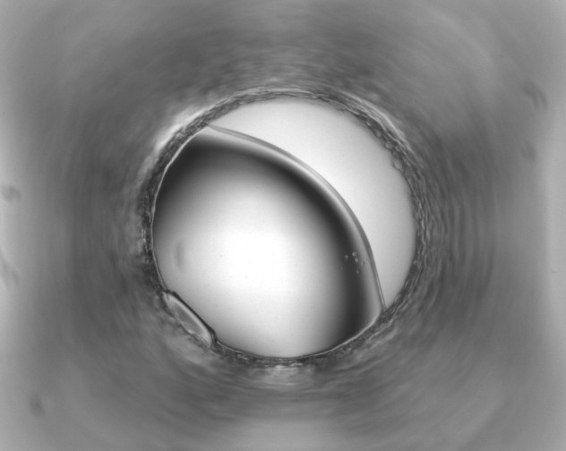 X0000091191160200708091017