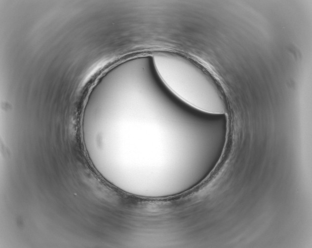 X0000091191163200708091017