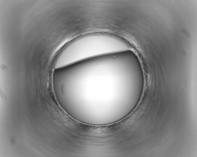 X0000091191165200708091017
