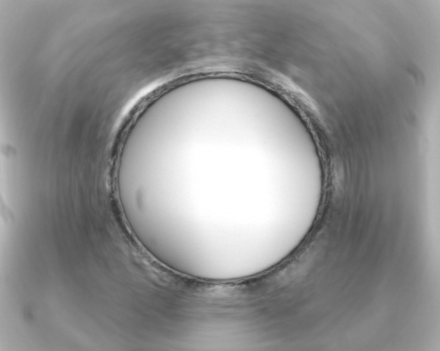 X0000091191166200708091017