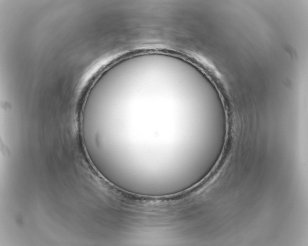 X0000091191167200708091017