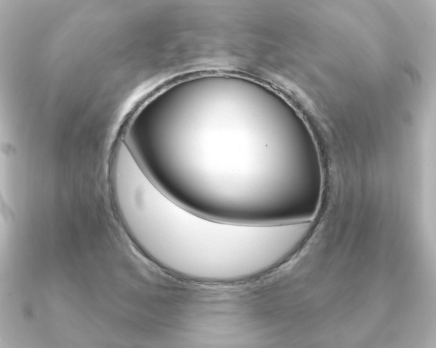 X0000091191168200708091017