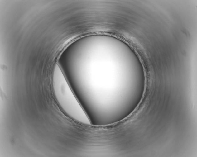 X0000091191169200708091017