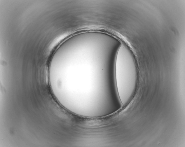 X0000091191171200708091017