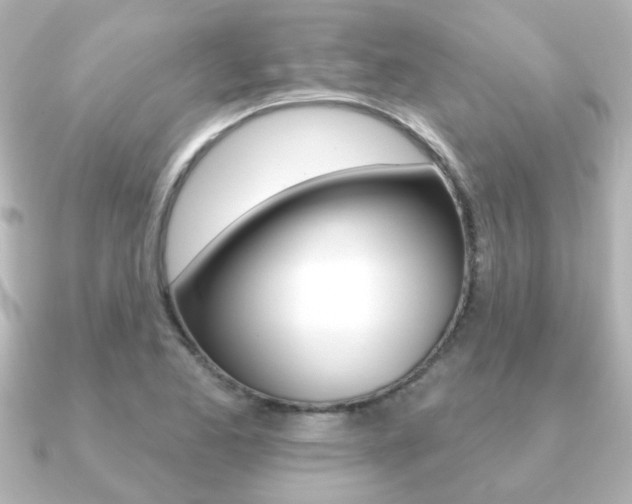 X0000091191173200708091017