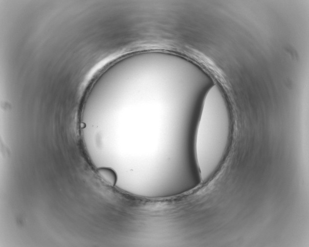 X0000091191174200708091017