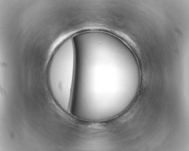 X0000091191175200708091017