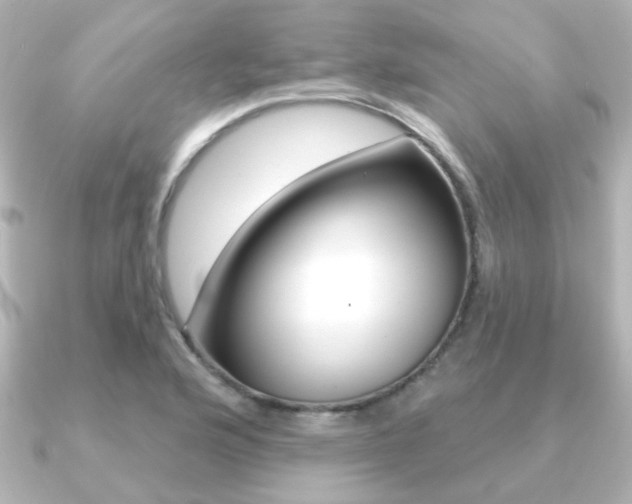 X0000091191176200708091017