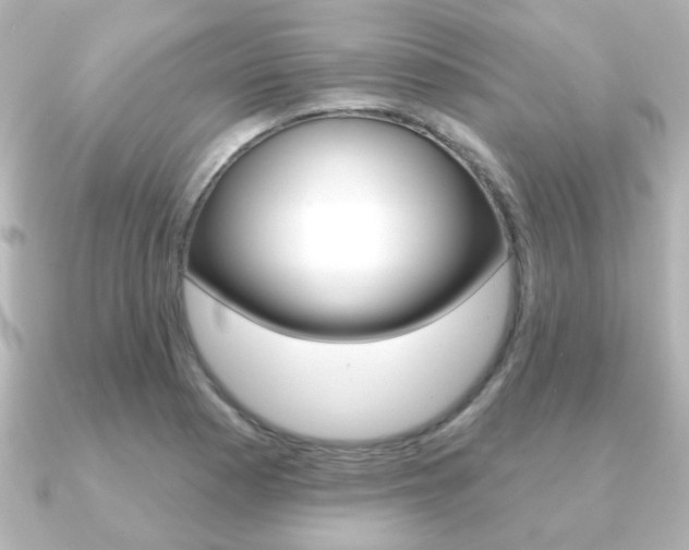 X0000091191177200708091017