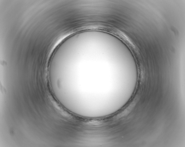 X0000091191178200708091017