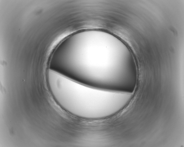 X0000091191179200708091017