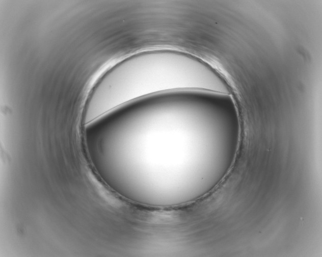 X0000091191181200708091017