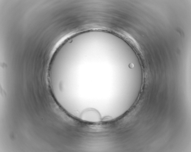 X0000091191182200708091017