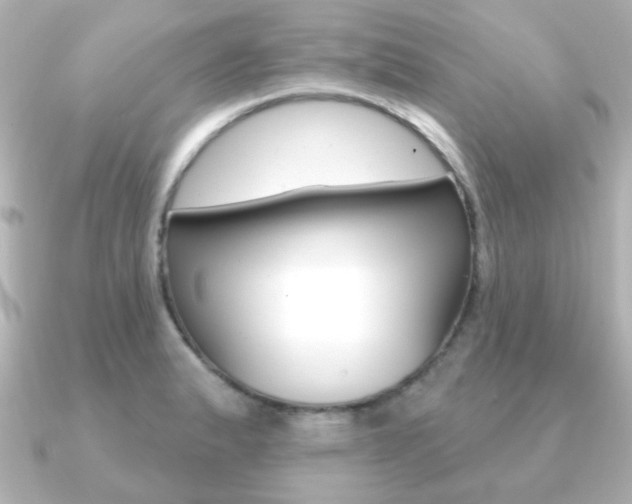 X0000091191183200708091017