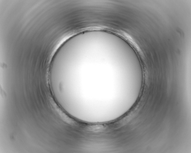 X0000091191186200708091017