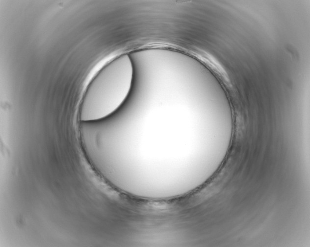 X0000091191190200708091017