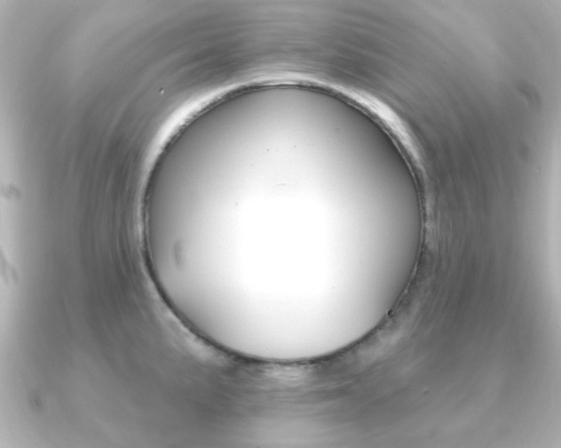 X0000091191191200708091017