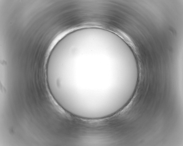 X0000091191192200708091017