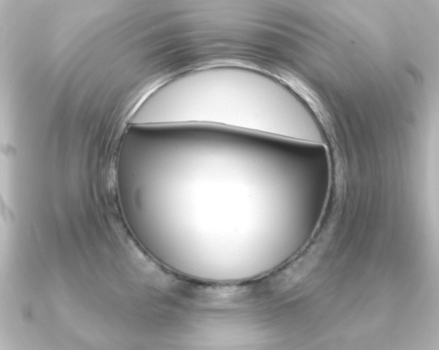 X0000091191193200708091017