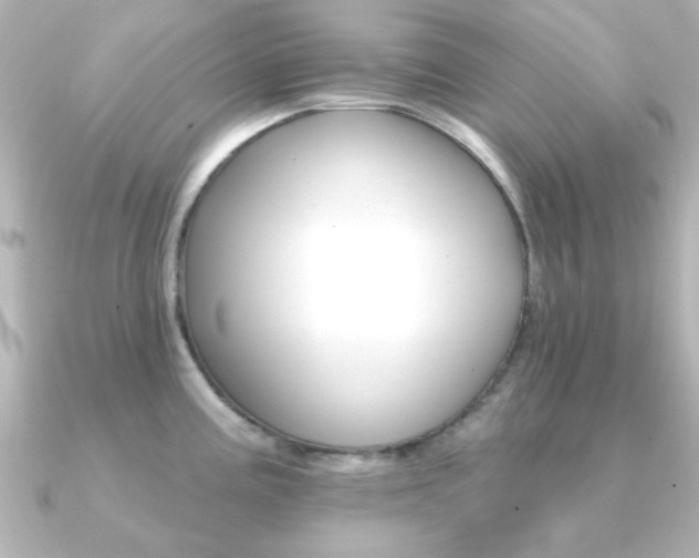 X0000091191195200708091017