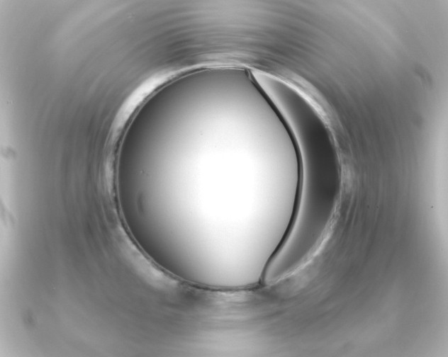 X0000091191196200708091017