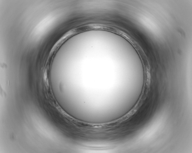 X0000091191198200708091017