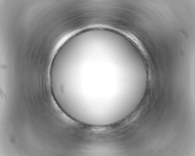 X0000091191199200708091017