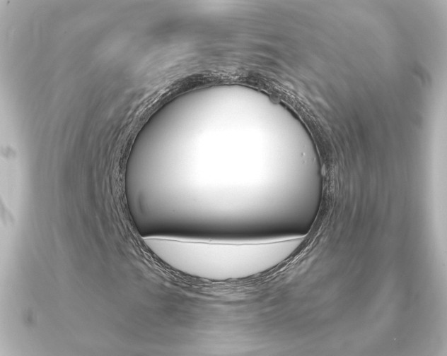 X0000091191201200708091016