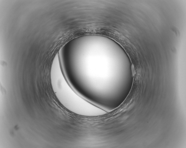 X0000091191202200708091016