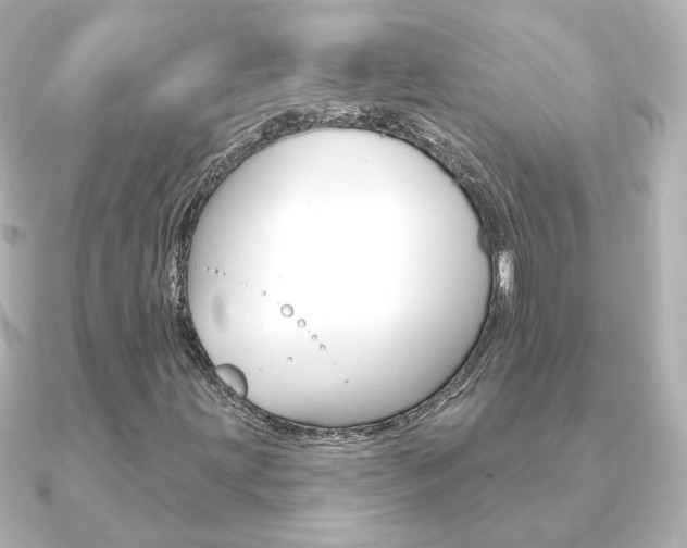 X0000091191203200708091016