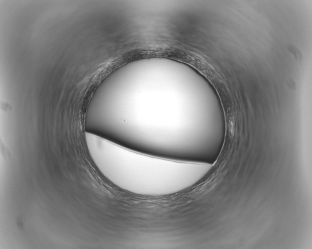 X0000091191204200708091016