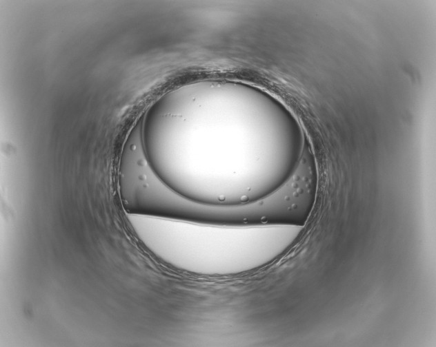 X0000091191205200708091016