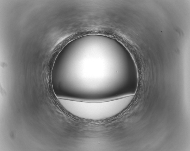 X0000091191206200708091016